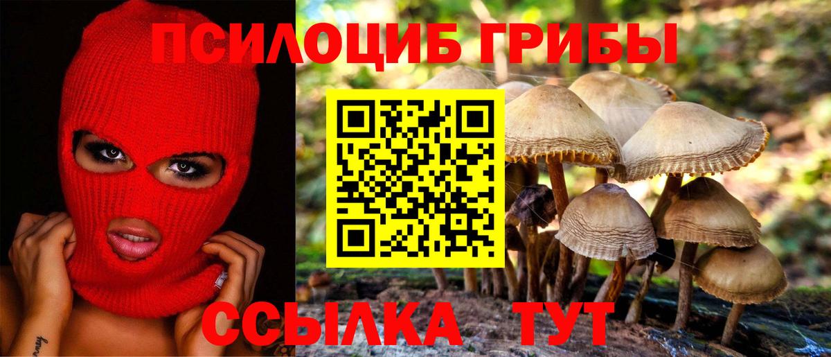 Псилоцибиновые грибы прущие грибы  Псилоцибиновые грибы Magic Shrooms  Наро-Фоминск  Вход с VPN 